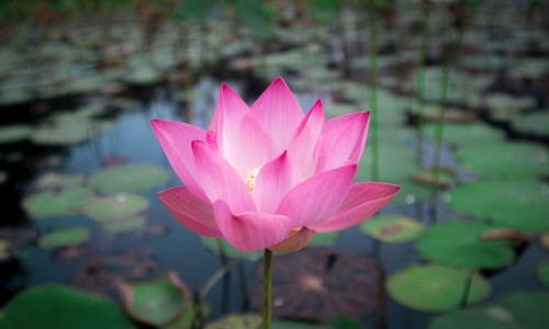 超妍-超蕊缩阴效果好吗网 - 超芯板属于什么档次,超欣